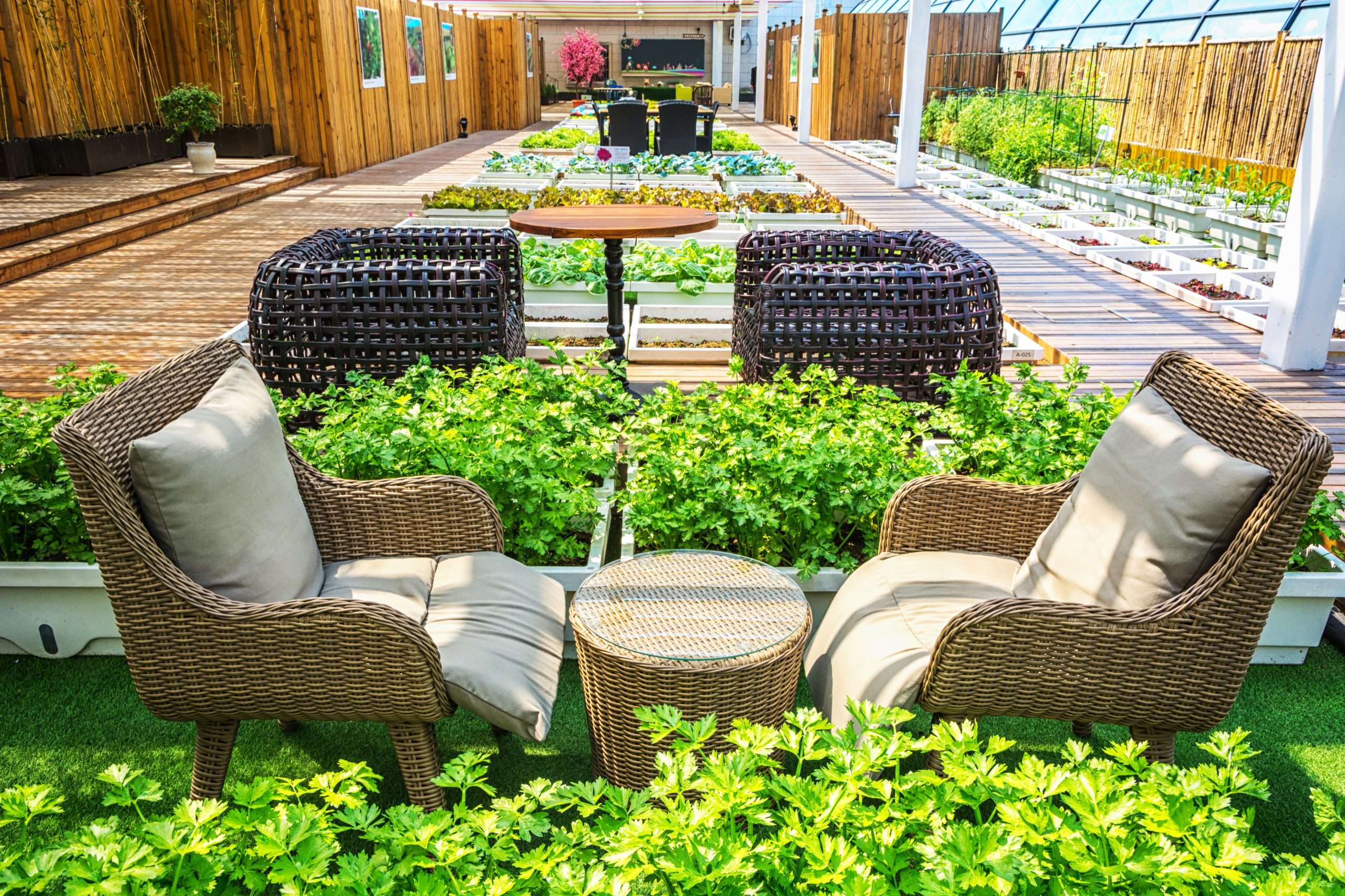 jardin