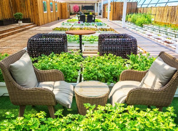 jardin